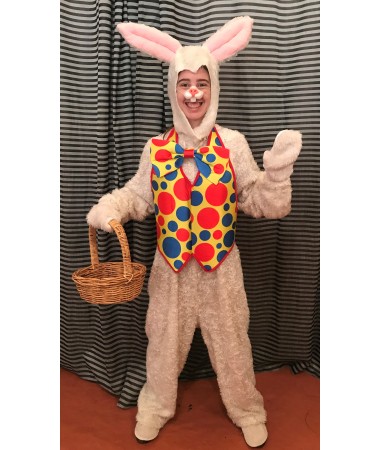Easter Bunny #20 ADULT HIRE